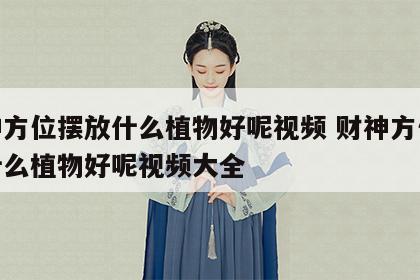 财神方位摆放什么植物好呢视频 财神方位摆放什么植物好呢视频大全