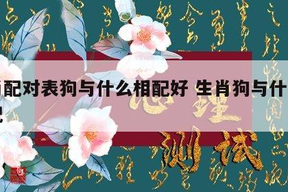 生肖配对表狗与什么相配好 生肖狗与什么生肖配