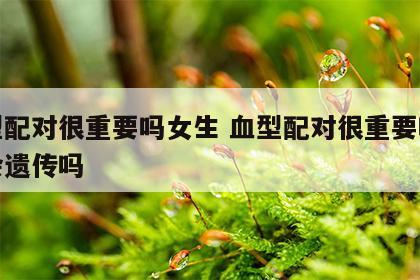 血型配对很重要吗女生 血型配对很重要吗女生会遗传吗