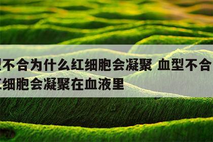 血型不合为什么红细胞会凝聚 血型不合为什么红细胞会凝聚在血液里