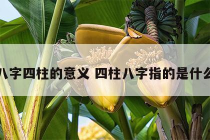 八字四柱的意义 四柱八字指的是什么