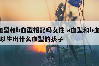 a血型和b血型相配吗女性 a血型和b血型可以生出什么血型的孩子