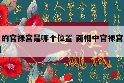 面相的官禄宫是哪个位置 面相中官禄宫的位置图