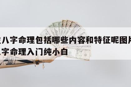 四柱八字命理包括哪些内容和特征呢图片 四柱八字命理入门纯小白