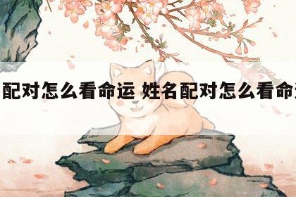 姓名配对怎么看命运 姓名配对怎么看命运好坏