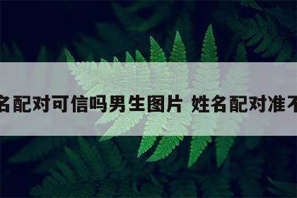 姓名配对可信吗男生图片 姓名配对准不准