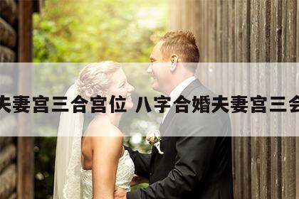 夫妻宫三合宫位 八字合婚夫妻宫三会