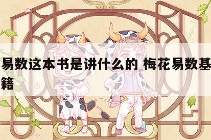 梅花易数这本书是讲什么的 梅花易数基础入门书籍