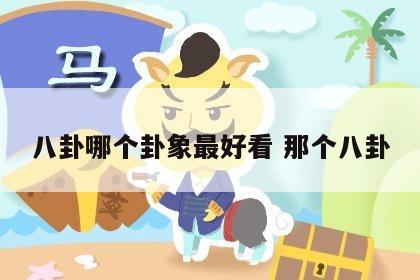 八卦哪个卦象最好看 那个八卦
