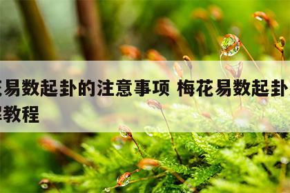 梅花易数起卦的注意事项 梅花易数起卦方法详解教程