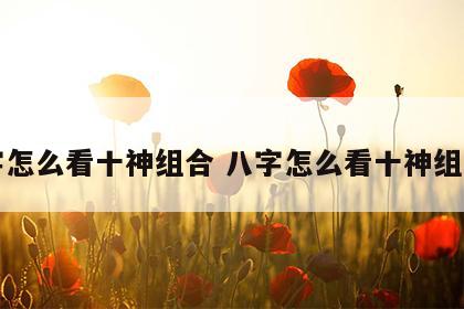 八字怎么看十神组合 八字怎么看十神组合图