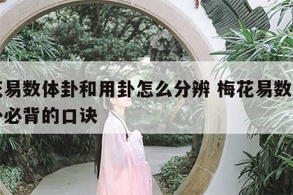 梅花易数体卦和用卦怎么分辨 梅花易数体用解卦必背的口诀