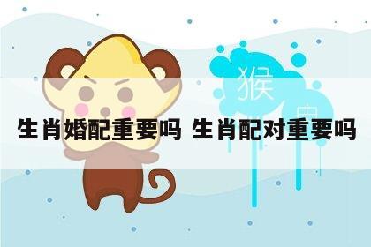 生肖婚配重要吗 生肖配对重要吗