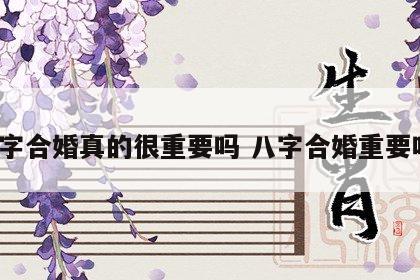 八字合婚真的很重要吗 八字合婚重要吗?