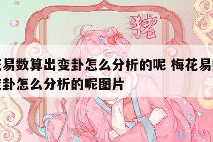 梅花易数算出变卦怎么分析的呢 梅花易数算出变卦怎么分析的呢图片