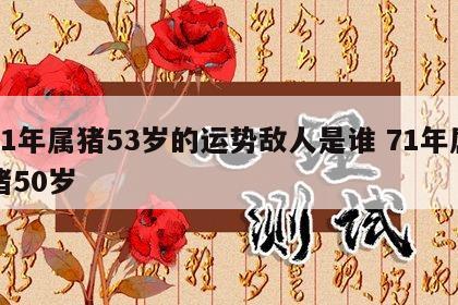 71年属猪53岁的运势敌人是谁 71年属猪50岁