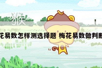 梅花易数怎样测选择题 梅花易数做判断题
