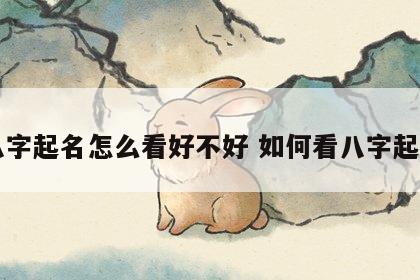 八字起名怎么看好不好 如何看八字起名