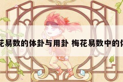 梅花易数的体卦与用卦 梅花易数中的体用