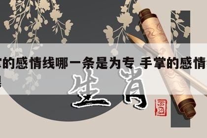 手掌的感情线哪一条是为专 手掌的感情线是哪根