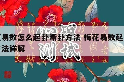 梅花易数怎么起卦断卦方法 梅花易数起卦断卦方法详解