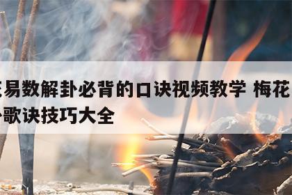 梅花易数解卦必背的口诀视频教学 梅花易数解卦歌诀技巧大全
