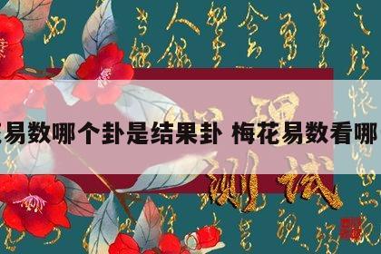 梅花易数哪个卦是结果卦 梅花易数看哪一卦