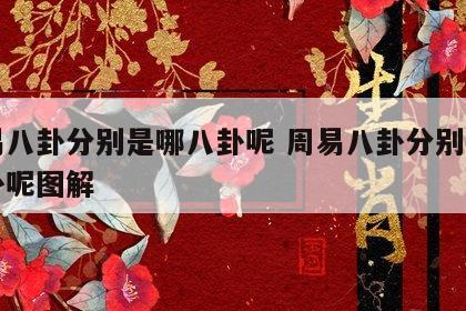 周易八卦分别是哪八卦呢 周易八卦分别是哪八卦呢图解