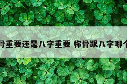 称骨重要还是八字重要 称骨跟八字哪个准