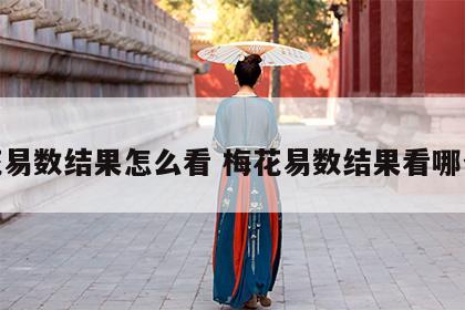 梅花易数结果怎么看 梅花易数结果看哪个卦