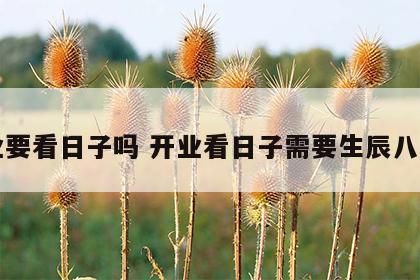 开业要看日子吗 开业看日子需要生辰八字吗