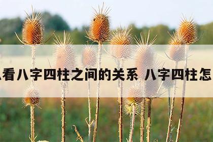 怎么看八字四柱之间的关系 八字四柱怎么查