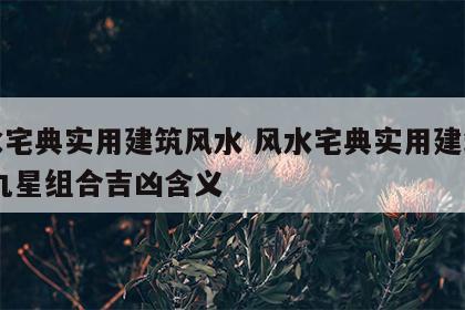 风水宅典实用建筑风水 风水宅典实用建筑风水 九星组合吉凶含义