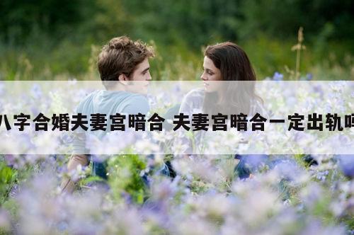 八字合婚夫妻宫暗合 夫妻宫暗合一定出轨吗