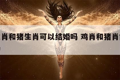 鸡生肖和猪生肖可以结婚吗 鸡肖和猪肖能婚配吗