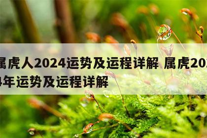 属虎人2024运势及运程详解 属虎2024年运势及运程详解