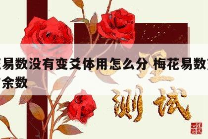 梅花易数没有变爻体用怎么分 梅花易数变卦没有余数