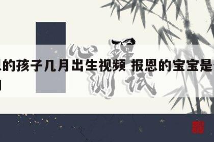 报恩的孩子几月出生视频 报恩的宝宝是什么样的