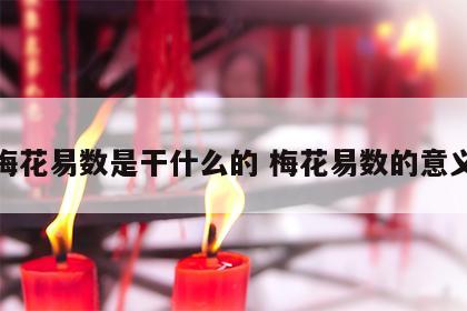 梅花易数是干什么的 梅花易数的意义