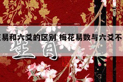 梅花易和六爻的区别 梅花易数与六爻不同之处