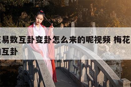 梅花易数互卦变卦怎么来的呢视频 梅花易数中的互卦