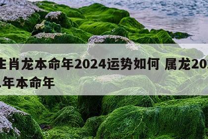生肖龙本命年2024运势如何 属龙2021年本命年