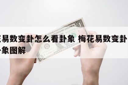 梅花易数变卦怎么看卦象 梅花易数变卦怎么看卦象图解