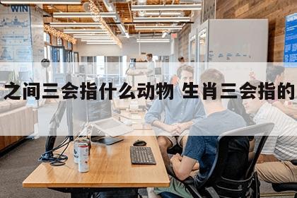 生肖之间三会指什么动物 生肖三会指的是什么