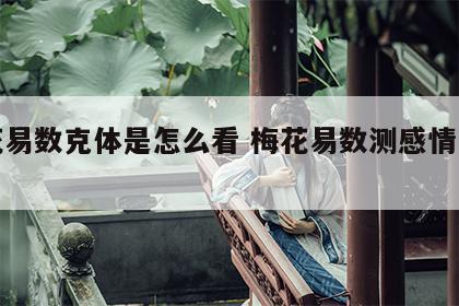 梅花易数克体是怎么看 梅花易数测感情用克体