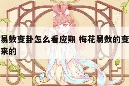 梅花易数变卦怎么看应期 梅花易数的变卦怎么出来的
