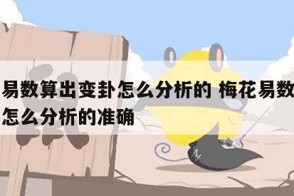 梅花易数算出变卦怎么分析的 梅花易数算出变卦怎么分析的准确