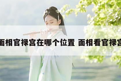 面相官禄宫在哪个位置 面相看官禄宫