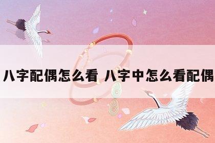 八字配偶怎么看 八字中怎么看配偶