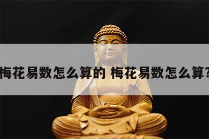 梅花易数怎么算的 梅花易数怎么算?